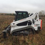 Bobcat